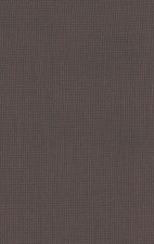 ESV Thinline Bible