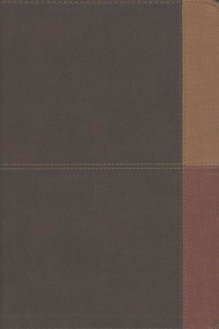 KJV Rainbow Study Bible, Cocoa/Terra Cotta/Ochre Leathertouch