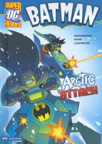 DC Super Heroes Complete Set