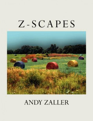 Z-Scapes