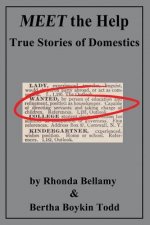 Meet the Help: True Stories of Domestics by Rhonda Bellamy & Bertha Boykin Todd