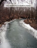 Up a Winter Creek in Southern Indiana