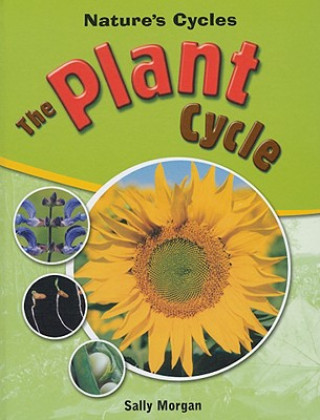 The Plant Cycle