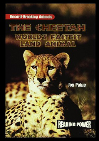 The Cheetah: World's Fastest Land Animal