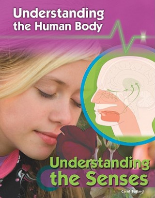 Understanding the Senses