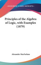 Principles Of The Algebra Of Logic, With Examples (1879)