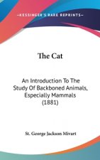 The Cat