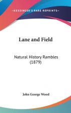 Lane And Field