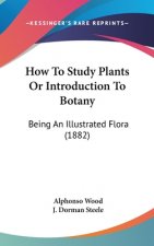 How To Study Plants Or Introduction To Botany