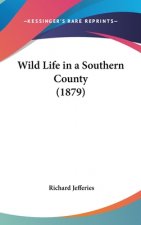 Wild Life In A Southern County (1879)