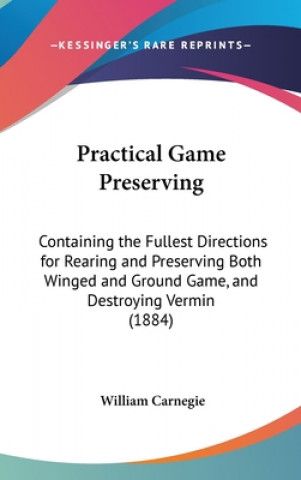 Practical Game Preserving