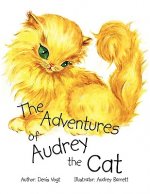 Adventures of Audrey the Cat