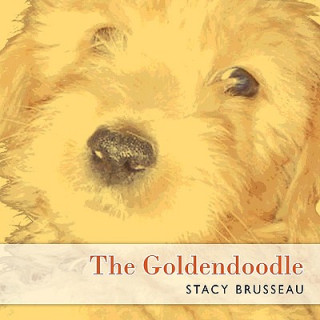 Goldendoodle