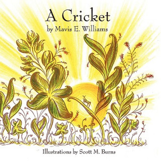 Cricket