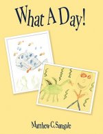 What A Day!