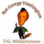 Not George Washington: An Autobiographical Novel