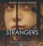 Strangers: A Faye Longchamp Mystery