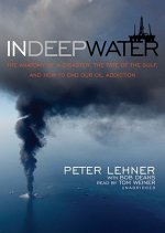 In Deep Water: The Anatomy of a Disaster, the Fate of the Gulf, and How to End Our Oil Addiction