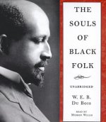 The Souls of Black Folk