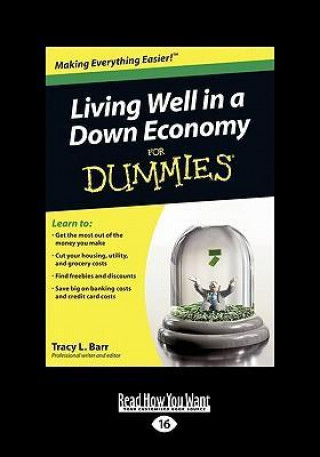Living Well in a Down Economy for Dummies (Easyread Large Edition)