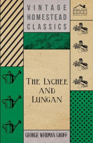 Lychee And Lungan