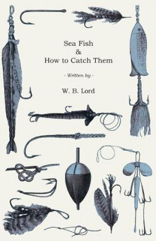 Sea Fish & How to Catch Them