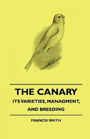 The Canary