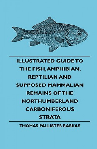 Illustrated Guide To The Fish, Amphibian, Reptilian And Supposed Mammalian Remains Of The Northumberland Carboniferous Strata