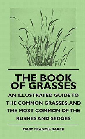 The Book Of Grasses - An Illustrated Guide To The Common Grasses, And The Most Common Of The Rushes And Sedges