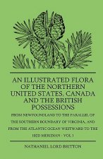 An Illustrated Flora Of The Northern United States, Canada And The British Possessions - From Newfoundland To The Parallel Of The Southern Boundary Of