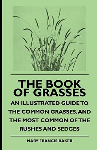 The Book of Grasses - An Illustrated Guide to the Common Grasses, and the Most Common of the Rushes and Sedges