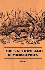 Foxes At Home And Reminiscences