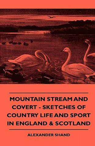 Mountain Stream And Covert - Sketches Of Country Life And Sport In England & Scotland