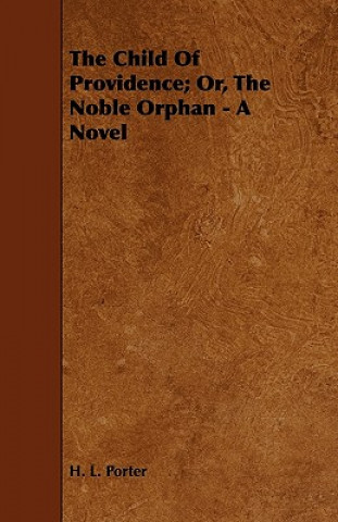 The Child of Providence; Or, the Noble Orphan - A Novel