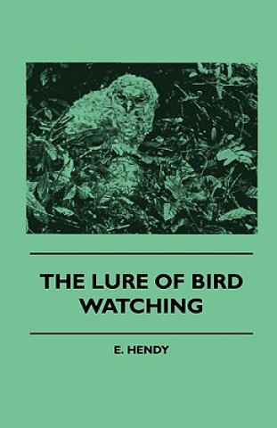 The Lure Of Bird Watching