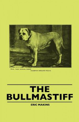 The Bullmastiff