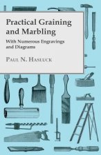 Practical Graining And Marbling - With Numerous Engravings And Diagrams