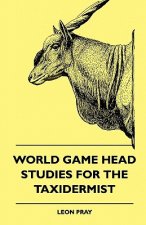 World Game Head Studies for the Taxidermist