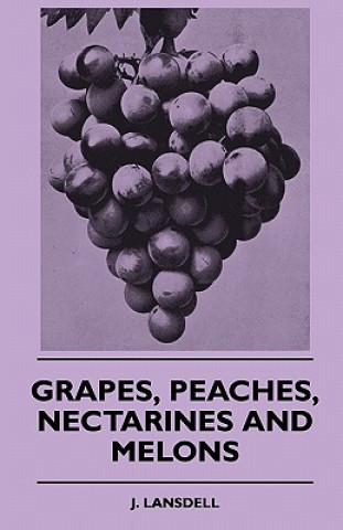 Grapes, Peaches, Nectarines And Melons