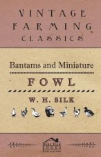 Bantams And Miniature Fowl