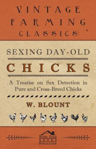 Sexing Day-Old Chicks - A Treatise On Sex Detection In Pure And Cross-Breed Chicks