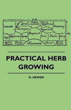Practical Herb Growing