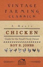 A Basic Chicken Guide For The Small Flock Owner