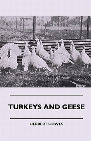 Turkeys And Geese