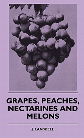 Grapes, Peaches, Nectarines And Melons