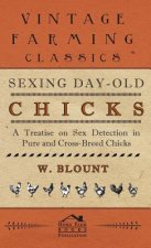 Sexing Day-Old Chicks - A Treatise On Sex Detection In Pure And Cross-Breed Chicks