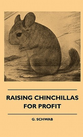 Raising Chinchillas For Profit