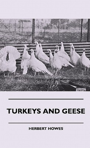 Turkeys And Geese