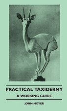 Practical Taxidermy - A Working Guide