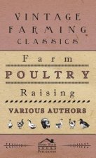 Farm Poultry Raising